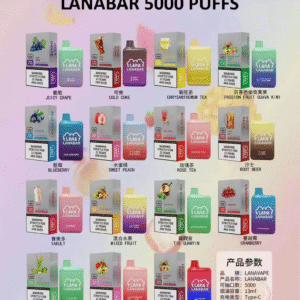 LANA三代拋棄式❤️‍5000口可充電 🔋❤️‍ 最涼的牌子