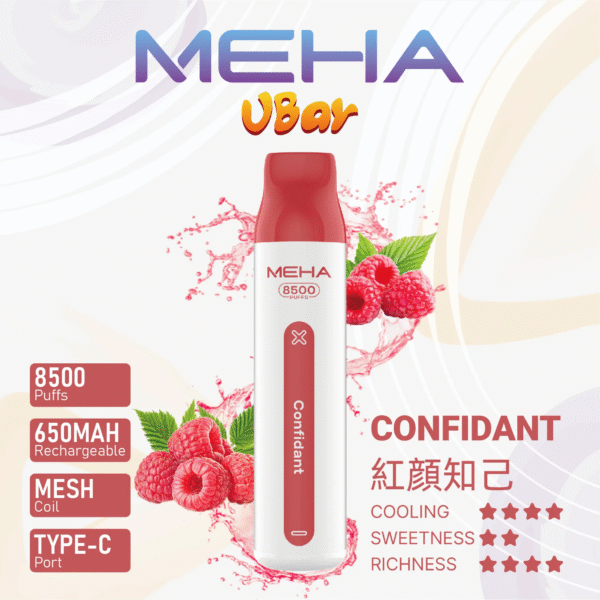 9月新品🔥MEHA魅嗨拋棄式8500口💖可充電🔋限時活動【滿十送一可備注口味】
