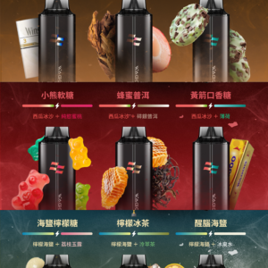 新品💥 WAGOO哇酷拋棄式6500口 by KIS5 磁吸組合 自由混搭 限時活動/滿十送一