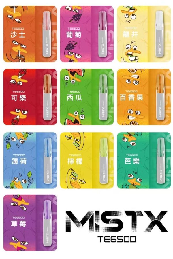 MISTX鴨嘴獸抛棄式 6500口